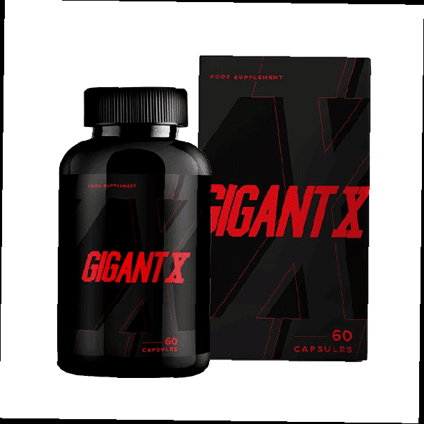 GigantX - Was ist es