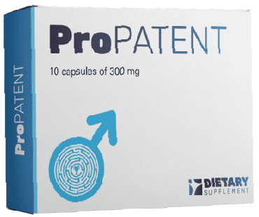 ProPatent - Was ist es